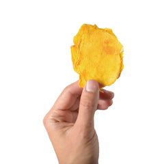 Oso Snacks held in hand for scale showing generous slice size and portability