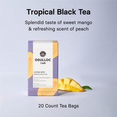 Osulloc brewed iced pitcher filled with peach black tea showcasing refreshing serve