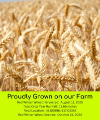 Palouse Brand family farm field during harvest showing origin and traceability benefits
