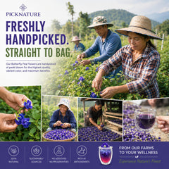 PICKNATURE blue tea turning purple with lemon, visual pH color change for recipes