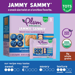 Plum Organics bar cross-section revealing blueberry filling and whole-grain texture