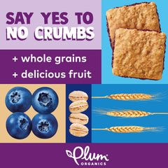 Plum Organics oats and ancient grains close-up, showcasing wholesome organic ingredients