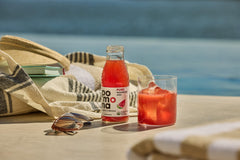 Pomona Organic juices bottle in picnic setting illustrating portable refreshment