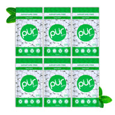 PUR Gum spearmint front of bag shows branding and count for convenient storage