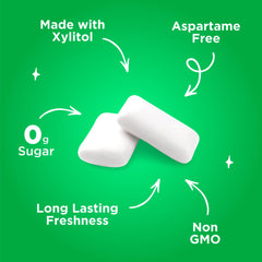 PUR Gum spearmint size comparison in hand shows piece scale for portion control