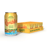RAMBLER front packaging of 24 cans showing convenient multipack and clear branding