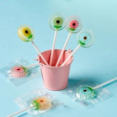 RBBZ Party lollipop in hand showing scale and easy-grip 4 inch stick