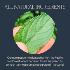 Rishi Tea brewed cup of peppermint tea highlighting clear, cooling infusion benefits