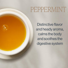 Rishi Tea iced pitcher with mint leaves showing refreshing cold-brew serving option