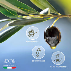 ROI Cucina Ligurian label details with origin and cold‑pressed claim for provenance reassurance