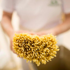 Rustichella d'Abruzzo spaghetti plated as cacio e pepe illustrating sauce adhesion