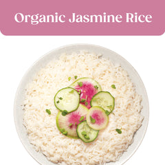 SEEDS OF CHANGE prepared jasmine rice in a bowl ready to serve