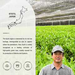 Senbird matcha powder detail emphasizing vivid green color and creamy body