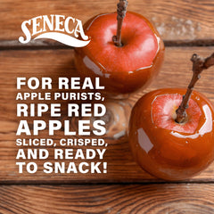 Seneca opened foil-lined bag showing sealed freshness and long-lasting crispness benefit