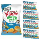 Sensible Portions front packaging showing 24 snack-size bags and product branding for easy selection