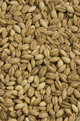 Shiloh Farms barley measured in cup and scale showing portion control and ease of use