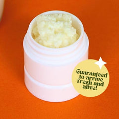 Simply Life Probiotics close-up of kefir grains texture illustrating active live cultures and growth potential
