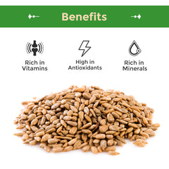 Close-up of Sincerely Nuts sunflower kernels highlighting roasted texture and crisp crunch