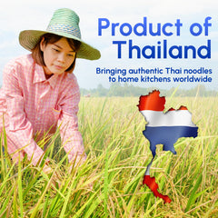 Snackathon plated Pad Thai using wide rice sticks showcasing hearty presentation benefit