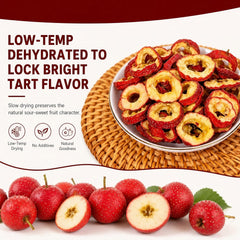 SODGHYTR open resealable container demonstrating easy storage and freshness seal