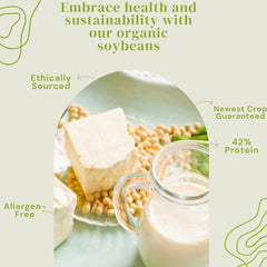 SOYFUL close-up of soybean texture highlighting clean organic quality