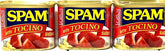 SPAM front can showing tocino seasoning and convenient pantry storage benefit