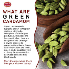 Spicy World revealing green seeds inside a pod for stronger, fresher grind