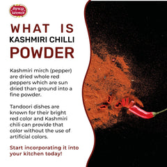 Spicy World close-up of bright red Kashmiri powder displaying vibrant color