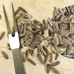 Serving bowl of Spitz seeds in casual setting ready for sharing