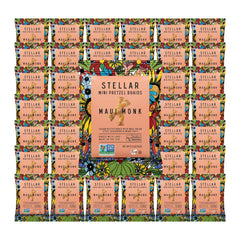 Stellar Snacks front packaging Maui Monk showing brand and portioned benefit