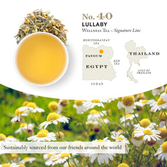 STEVEN SMITH TEAMAKER loose leaf detail of chamomile and lemongrass showing full-leaf quality benefit