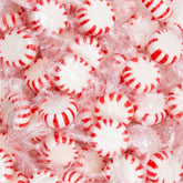 SUNNY ISLAND front of bag showing 2 lb packaging and peppermint branding