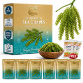 Sweet Habibi front packaging showing 6-bag value pack and sauces for convenience