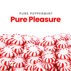 Macro image of Sweetaholic peppermint disc texture highlighting firm hard-candy finish