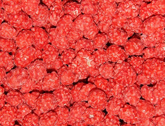SweetGlob close-up of red candy shell on roasted peanut highlighting crisp texture and rich roast flavor
