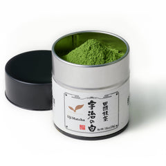 TAGASHIRA CHAHO tin front view showing brand and resealable lid for freshness