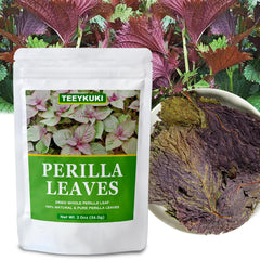 TEEYKUKI perilla leaf tea steeping in cup showing fragrant infusion benefit