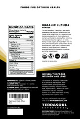 Terrasoul close-up of lucuma powder texture highlighting natural sweetness