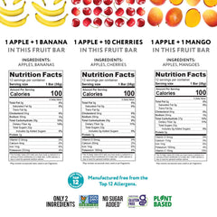 That's it. banana bar close-up displaying natural fruit texture and fiber benefit