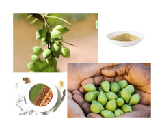 THE AUSTRALIAN SUPERFOOD close-up of freeze-dried Kakadu Plum powder texture showing fine, vivid powder ideal for mixing