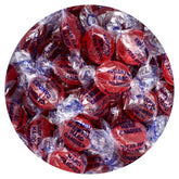 THE HAMPTON CANDY COMPANY front bag view showing sugar free cinnamon discs and branding benefit