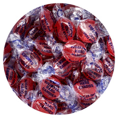 THE HAMPTON CANDY COMPANY front bag view showing sugar free cinnamon discs and branding benefit
