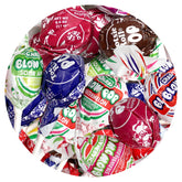 THE HAMPTON CANDY COMPANY front bag showing mixed lollipops and bulk value
