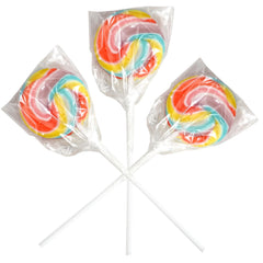 THE HAMPTON CANDY COMPANY lollipop in hand showing size and sturdy stick for easy handling