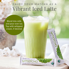 The Republic of Tea matcha latte in cup showing creamy texture and warm comfort