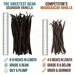 The Sweetest Bean close-up of oily vanilla bean surface highlighting freshness and aroma