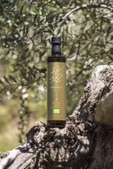 Threpsi Koroneiki olives on branch highlighting ripe fruit source and authenticity benefit