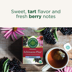 Traditional Medicinals brewed cup in hand highlighting warm berry aroma and soothing beverage benefit