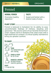 Macro shot of fennel seeds used by Traditional Medicinals, highlights pure ingredient benefit
