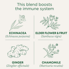 Traditional Medicinals tea bag close-up showing mesh texture and organic herbal blend benefit